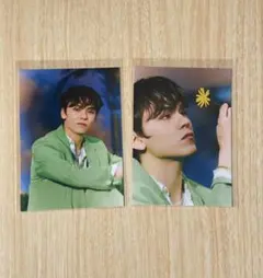 SEVENTEEN SECTOR 17 KIT キノ　バーノン　フォトカード