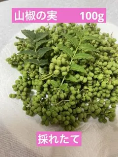 2026年最新】花山椒の人気アイテム - メルカリ