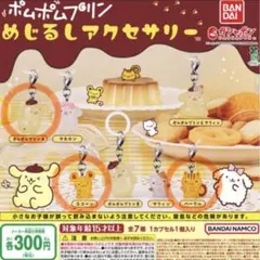 あ*ぅ様 ポムポムプリン めじるしアクセサリー 3点セット