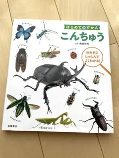 はじめてのずかん こんちゅう