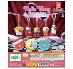 ハローキティ アメリカンデザイン めじるしアクセサリー コンプリート