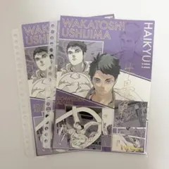 ハイキュー　牛島若利　箔押し