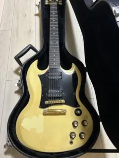2025年最新】gibson sg ハードケースの人気アイテム - メルカリ