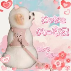 Item thumbnail for item add6885e-cb5c-4fc4-b0d2-7afdc0aef39c