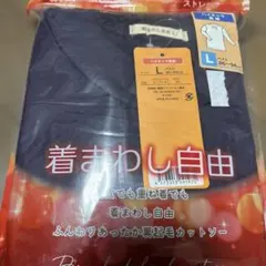 Item thumbnail for item 437fad05-4cfc-413e-963d-07731785008d