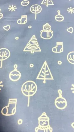 新⭐︎インドブロックプリント生地　クリスマス ウインター　サックス　50cm