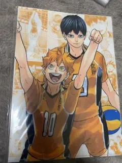 ハイキュー展　クリアファイル　影山飛雄　日向翔陽