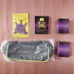 嵐 ライブグッズ デジタリアン