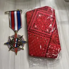 三代目　ブローチ付け替えピンズセット