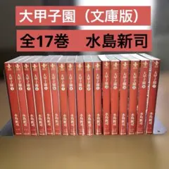 2026年最新】大甲子園 17の人気アイテム - メルカリ
