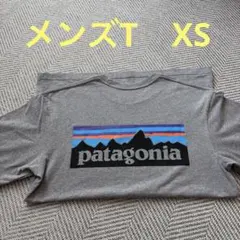 patagonia グレー Tシャツ
