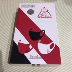 スヌーピー　布マスク　3色セット
