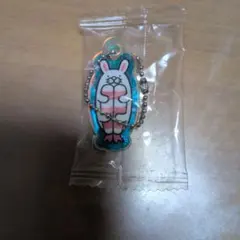 ウサギ アクリルキーホルダー