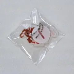 シュガーバニーズ アクリルキーホルダー シークレット くろうさ しろうさ 한국