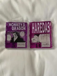 ワンピースベースショップ アクリルブロックチャーム ゴール D