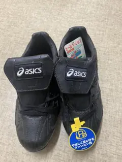 Item thumbnail for item 018d861b-9229-464b-8801-4e9990ce5f4d