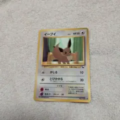 旧裏】イーブイ「拡張シート第1弾(青版)」センタリング参考画像付き