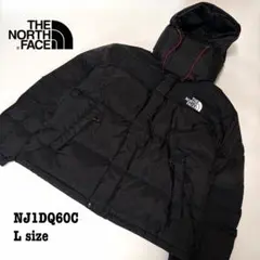 【新品】L ノースフェイス ダウンジャケット サミット WINDSTOPPER
