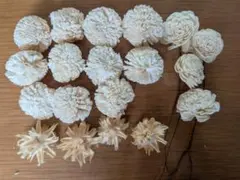 Item thumbnail for item 930e457c-28c7-4ab4-bd36-6631f3594c25