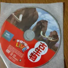 Item thumbnail for item b8be57cb-1403-4583-81c8-ccf592cf1658