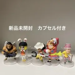 ワンピの実セット