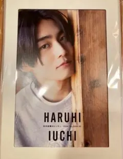 井内悠陽 カレンダー + チェキ風ブロマイド 井内悠陽 カレンダー チェキ風ブロマイドセット