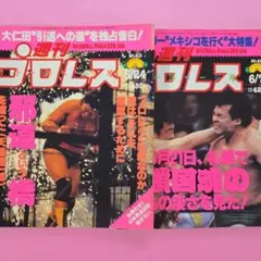 週刊プロレス セット