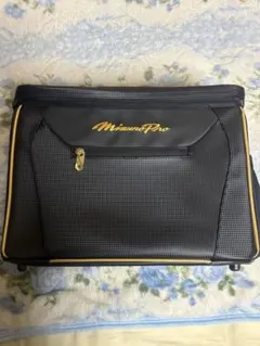 MizunoPro ミズノプロ　グラブケース　ブラック/ゴールド