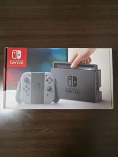 Nintendo Switch グレー 本体 セット