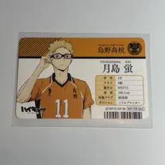 ハイキュー‼︎ アニメイトオンリーショップ 購入特典 特典カード 月島蛍