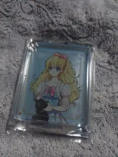 ある日、お姫様になってしまった件について　グラッテ　コロッタ　ある姫　アクキー