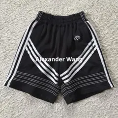 2026年最新】Alexander Wang カラー：ブラック系 レディース ショート