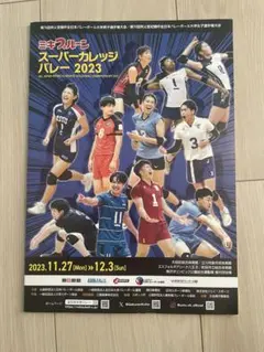 Item thumbnail for item 4c944ba9-c137-4014-95e0-9bf432e9eb8a