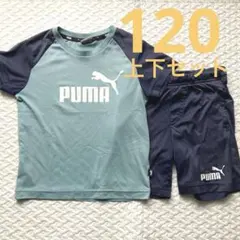 プーマ　PUMA 半袖　半ズボン　上下セット　セット売り　120