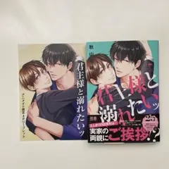 君主様と溺れたいッ　リーフレット付き　BL漫画