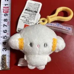サンリオ　キャラクターズ　キャラクター大賞2026　マスコット　こぎみゅん