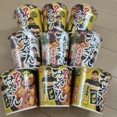 完売】 カレー みそきん 12個セット 新品未開封 HIKAKIN ヒカキン