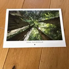 Item thumbnail for item d2a7d261-66ba-4a8c-a3f2-f38eb881ee15