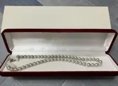 Item thumbnail for item c2795543-06f5-457b-8224-fa52c2050f8b