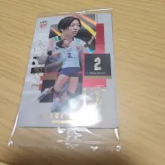 バレーボール ウエハースカード女子荒木彩花