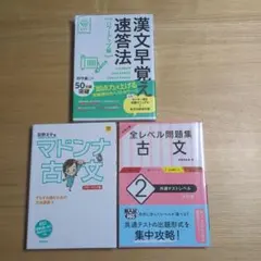 【大学受験用】漢文・古文 学習テキスト 3冊セット