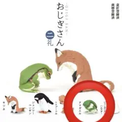 おじぎさん アマガエル