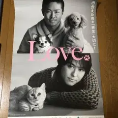 あやのこ様専用 2枚