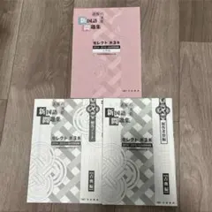 過程の演習 新国語問題集セレクト 第3集 古典編　書き込みあり