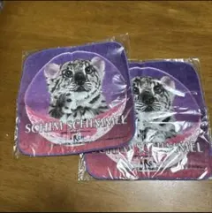 Item thumbnail for item 09cac6d3-b1be-426c-95e6-889be6d3140f