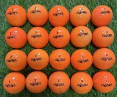 Item thumbnail for item 4035674f-952b-4736-afc4-71abc42c2eb0