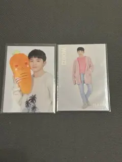 SEVENTEEN ウジ トレカ HARU