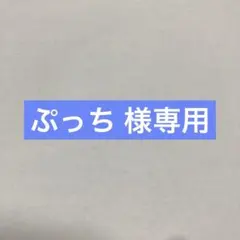 ぷっち 様専用