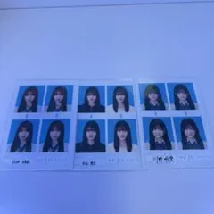 優*愛様 seju 証明写真 3枚セット 向井怜 平松想乃 川野明愛のサムネイル