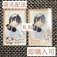 にじさんじ わんにゃんdays 夢追翔 ランダムチェキ風カード R N